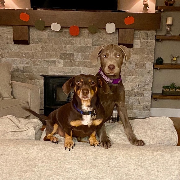 Meet Your Seller/Buyer! - Picture 3 of 4